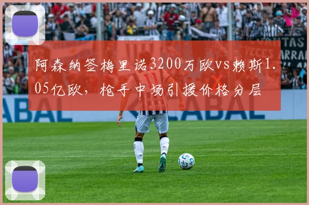 阿森纳签梅里诺3200万欧vs赖斯1.05亿欧,枪手中场引援价格分层
